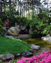 Rokahr Haus und Garten Bild 3