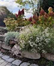 Gartenauftrag.de Bild 5