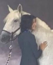 Club équestre St Julien image 6