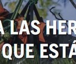 husqvarnamadridportada.JPG