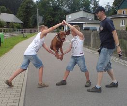 Hundeschule HundZunft Bild 1