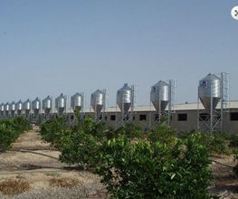 silos-musos-s_l-silos-05.jpg