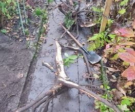 Gartenservice Kurz Bild 2