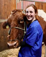 Tierklinik Leimental Bild 4