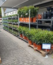 CENTERSHOP Bad Endbach
