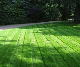 Abt Jardins et Paysages Sàrl Bild 7