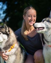 VanJara-Dogtraining by Vanessa Rieder Bild 2