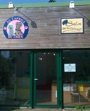 Au Caprice Du Chien image 6