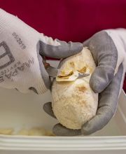 Domaine Des Terres Rouges S.A.R.L. image 6