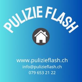 PULIZIE FLASH