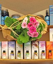 Kosmetikstudio Blütenstern Bild 5