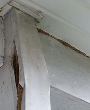 BugMeNot Pest Control image 8