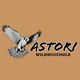 Astori Wildnisschule