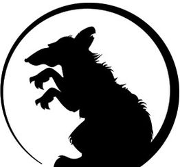 Wimmer Schädlingsbekämpfung