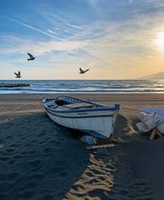 Olivo Homes imagen 14