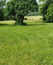 Ted Multiservices image 8