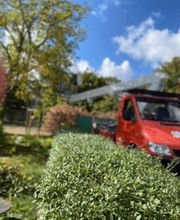 Baumdienst Sieber Bild 5