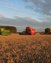 Lecoq Frères SARL image 5