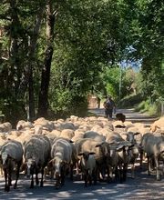 Hôtel Restaurant Le Chalvet image 18