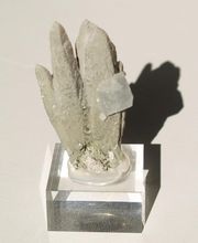 Roig Raymond image 11