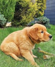 Le Domaine D'Izara image 1