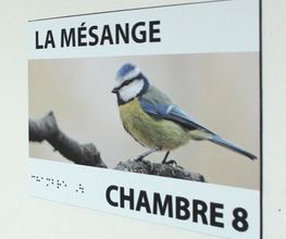 CITER PUBLICITE image 6