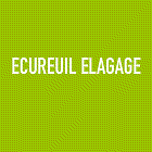 ECUREUIL ELAGAGE