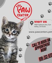 PAW CENTER Veterinary Hospital/Urgent Care image 3