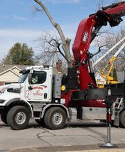 Whitledge Tree Service LLC image 13