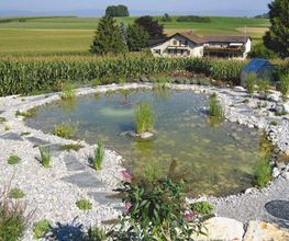 Kämpf Gartenbau AG Bild 4