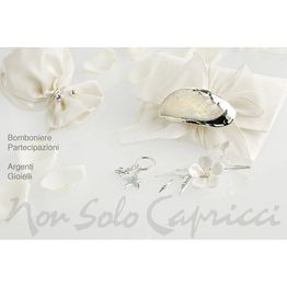 Non Solo Capricci logo