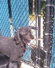 Brentwood Animal Campus image 17