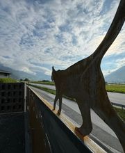 Funérapattes Sàrl Bild 13