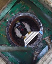 Gallery Professionale