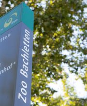 Die Insel GmbH Physiotherapie - Ergotherapie