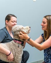 Willowrun Veterinary Hospital image 13