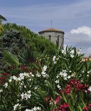 Jardin d'Arcy image 11