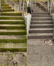 Michel Service Solution Bild 11