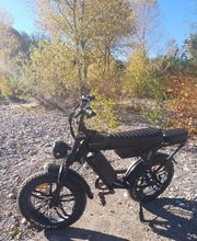 LM FatBikes image 7