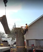 Southern Oregon Tree Care LLC image 3