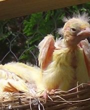 Tierklinik Krafzel GmbH Bild 2