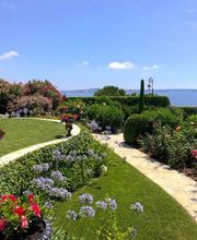 Lanza Jardins image 6