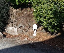 Area SARL image 4