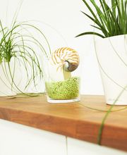 Dentilus - Dr. med. dent. Anke Benoit Bild 7