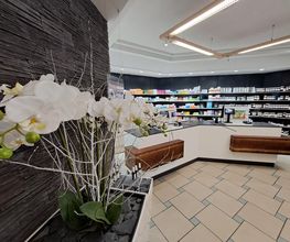 Holzmaa GmbH Bild 3