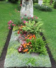 Friedhofgärtnerei Meier Bild 1