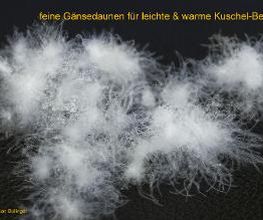 Somnos GmbH Bild 16