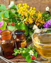 Naturheilpraxis für ganzheitliche Frauenheilkunde Bild 2