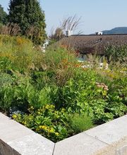 Trais Fluors Gartenbau GmbH Bild 6