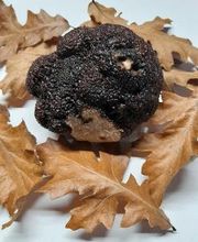La Truffe du Mont, Christophe Corbaz Bild 4